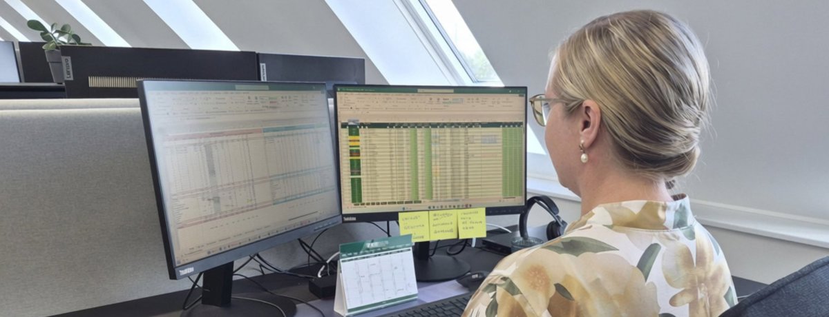 Lise behandler data i Excel